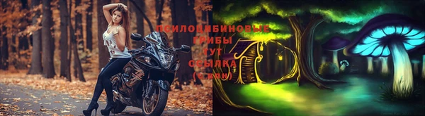 соль ск Абдулино
