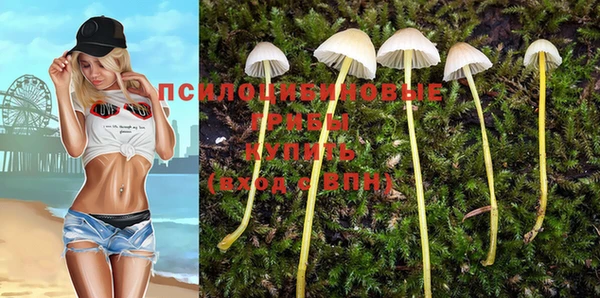 стафф Абинск