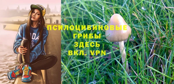 трава Абаза