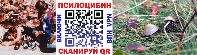Галлюциногенные грибы прущие грибы  Гаджиево 